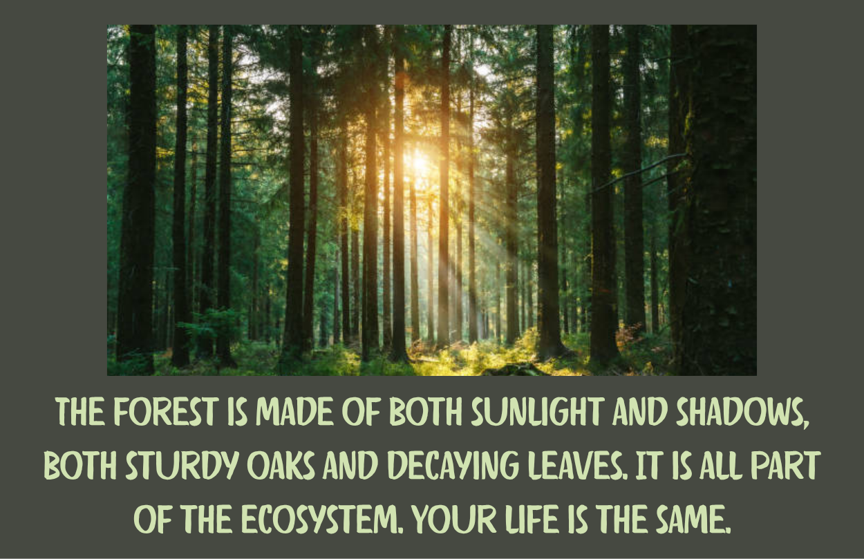 Quote about the forest being part sunlight and part shadows.